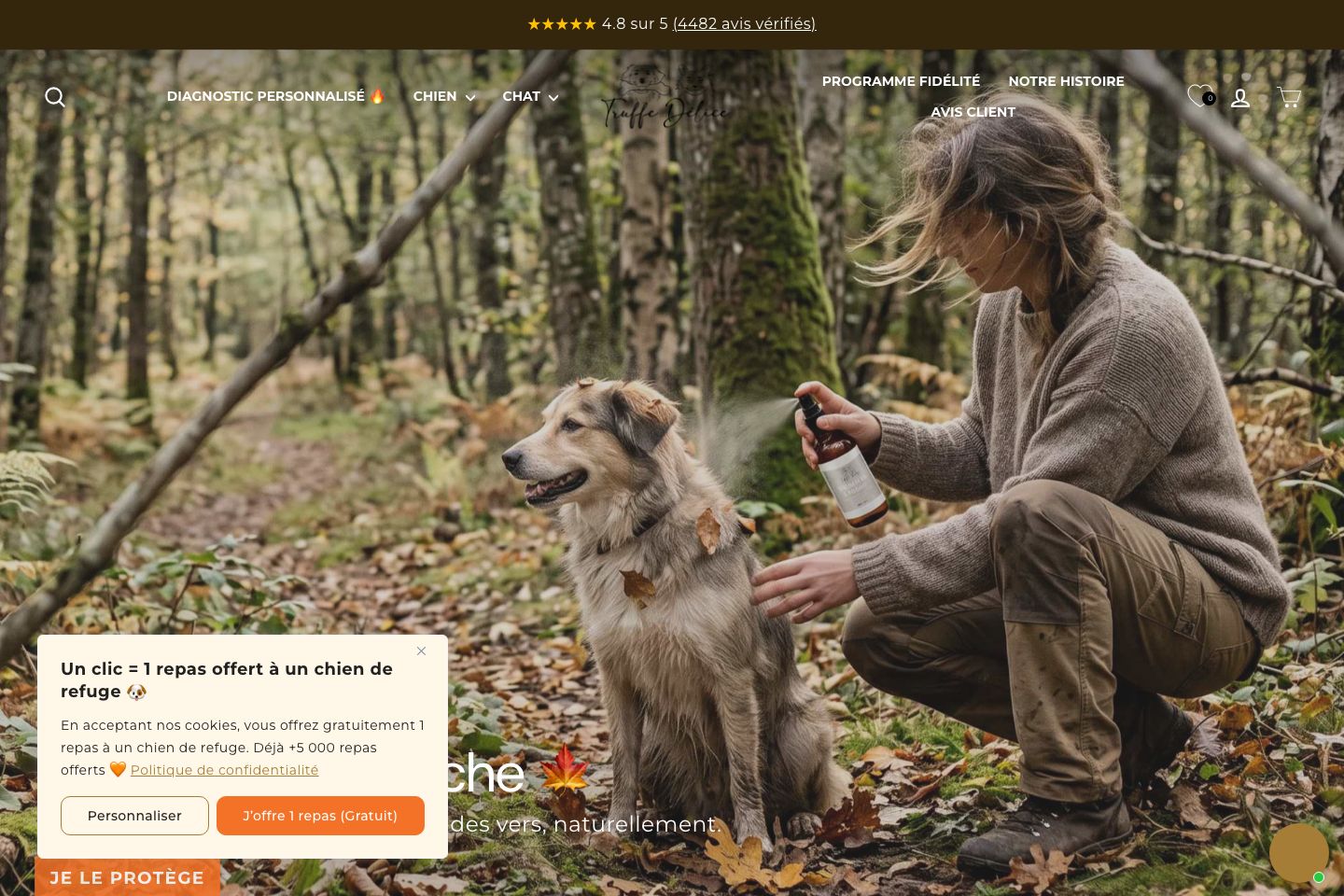 Aperçu du site Truffe Délice
